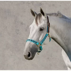 Perri’s® Ribbon Trim Breakaway Halter