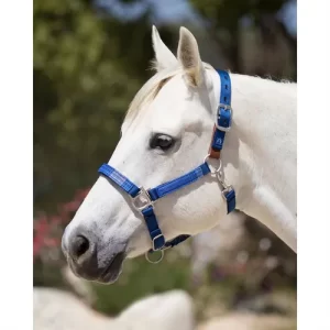 Kensington™ Premium Breakaway Halter