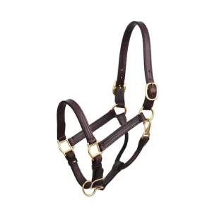 Perri’s® Premium Leather XL Show Halter