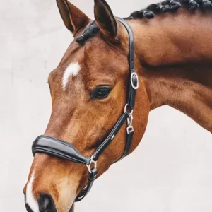 Schockemöhle Fremont Anatomical Halter