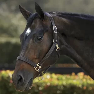 Suffolk™ Palermo Triple-Stitched Halter