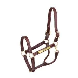 Perri’s® Professional Halter with Nameplate