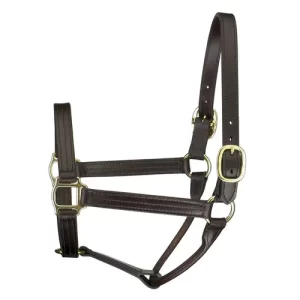 Perri’s® Premium Track Style Show Halter