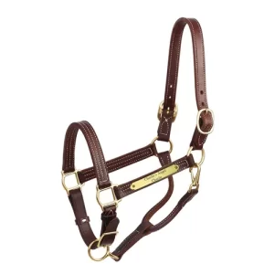 Perri’s® Premium 1″ Leather Show Halter with Nameplate