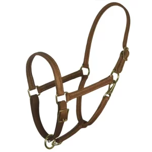 Perri’s® 7/8″ Value Work Halter