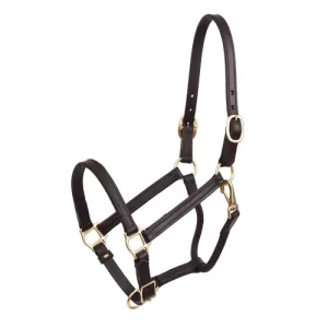 Perri’s® 3/4″ Premium Leather Show Halter