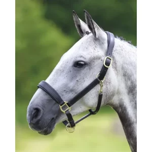 Blenheim Leather Halter