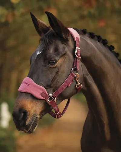 LeMieux® Vogue Halter & Lead Rope Set