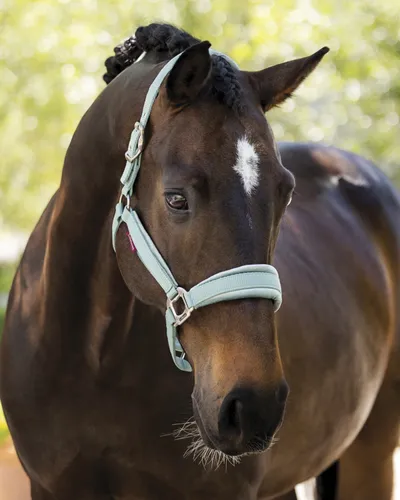 LeMieux® Versailles Halter