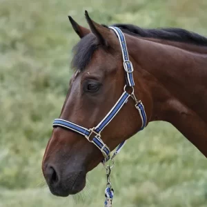 Suffolk™ Padded Striped Breakaway Halter & Lead